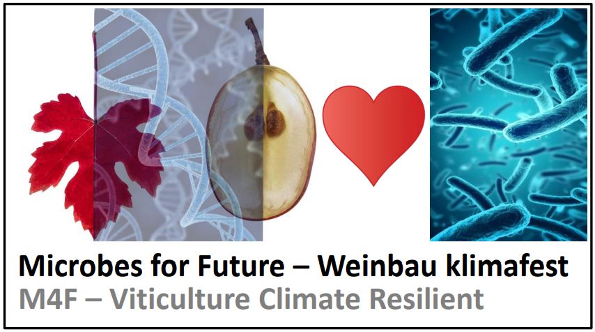 Projekt Microbes 4 Future am KIT