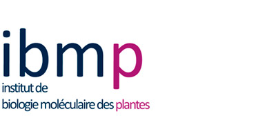Logo IBMP